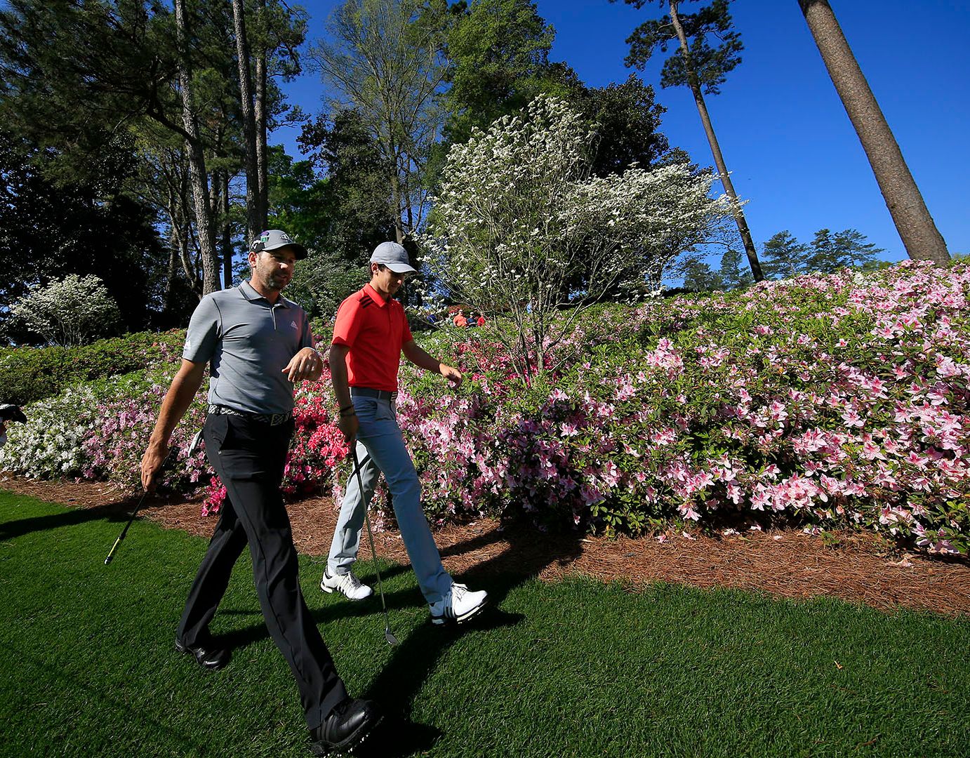 LOS GRANDES AUSENTES EN EL MASTERS